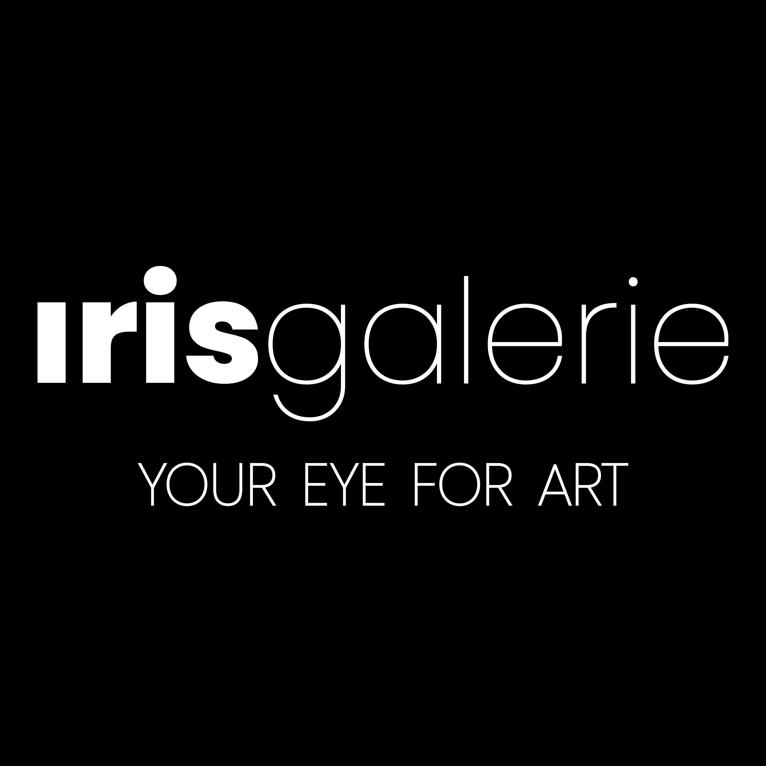 Shop 22 Iris Galerie Shop Logo
