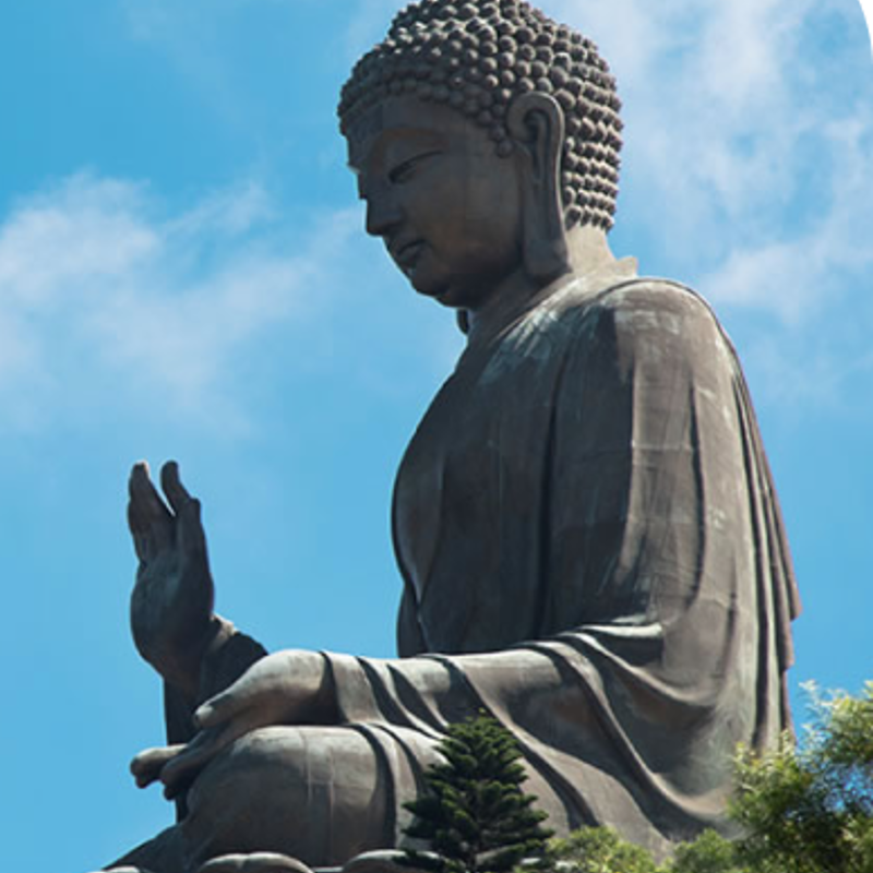 NPV Big Buddha Photo Op