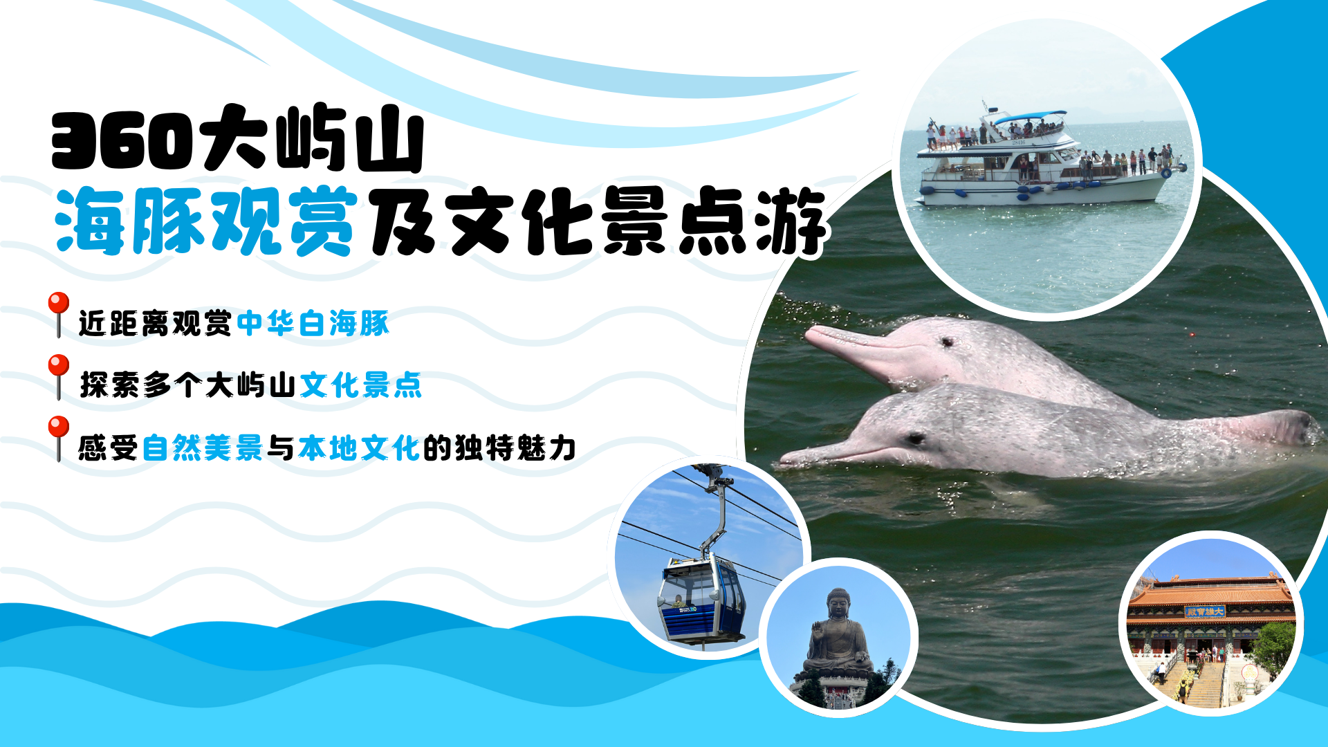 (SC) HK Dolphinwatch X 360 Lantau Tour 1920X1080