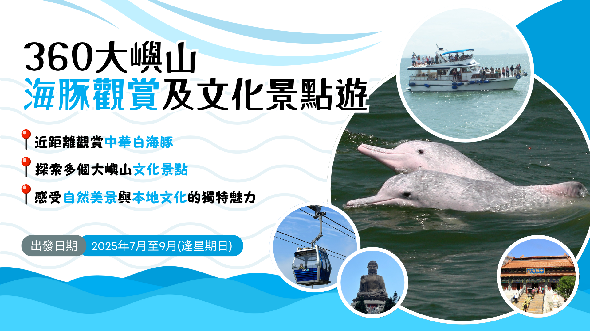(TC) HK Dolphinwatch X 360 Lantau Tour 1920X1080