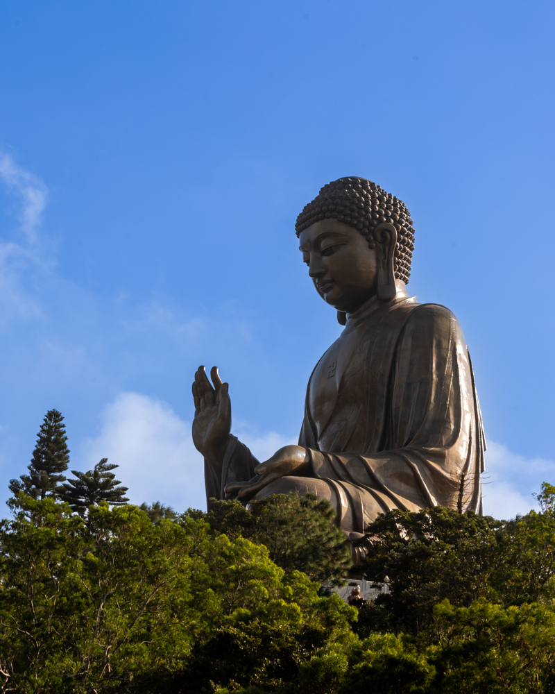 Cover image of nearby attraction