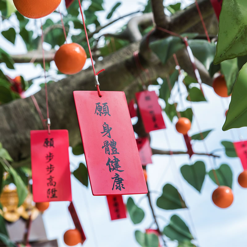 Bodhi Tree