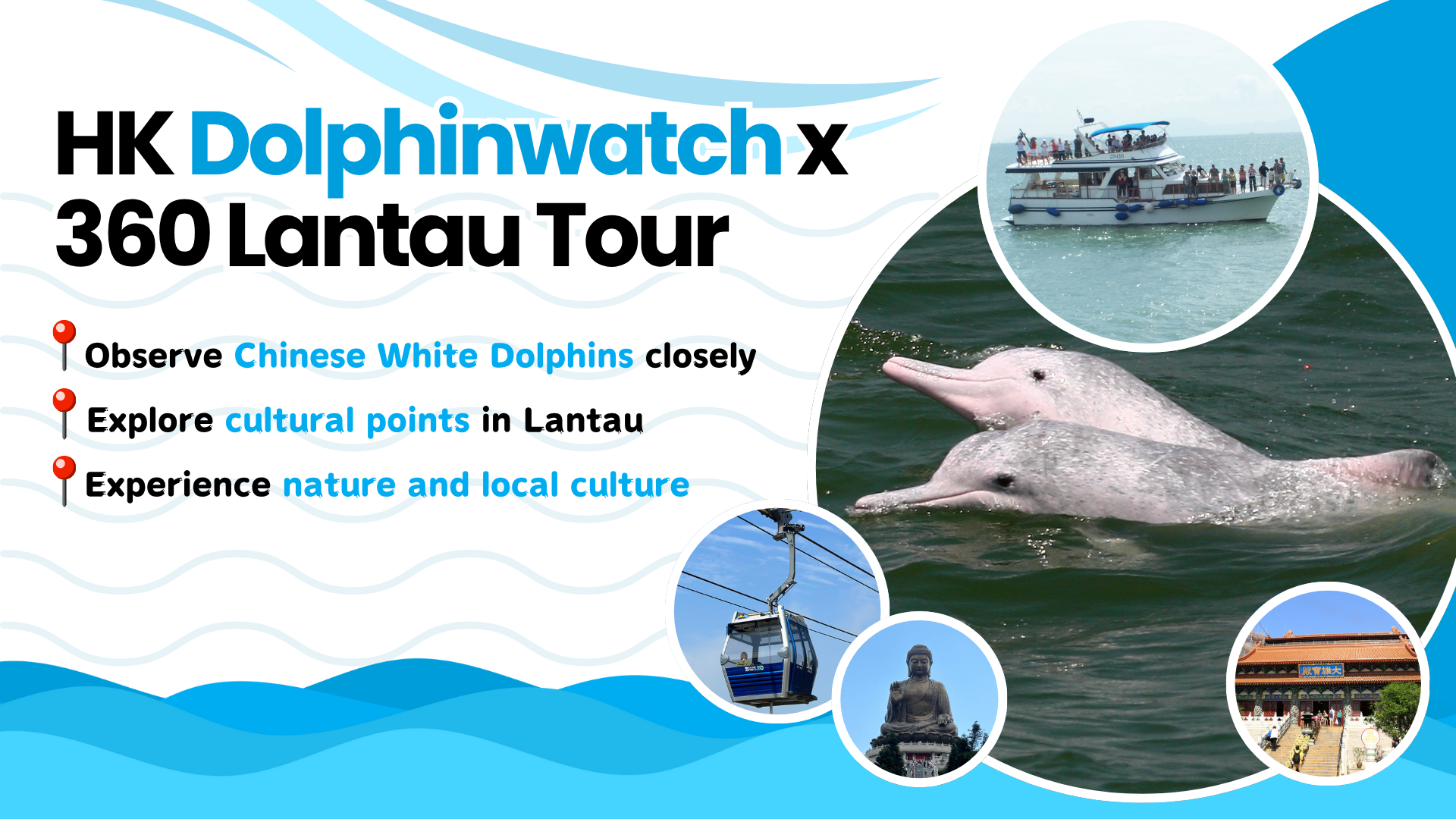 (EN) HK Dolphinwatch X 360 Lantau Tour 1920X1080