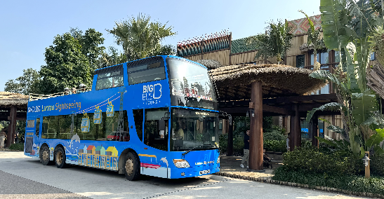 Lantau Sightseeing Bus Tour - Disney Discovery Hotel