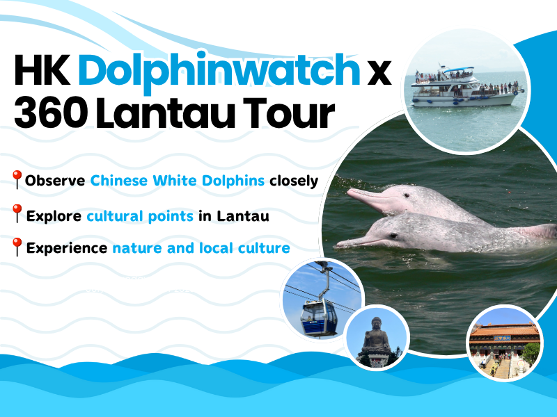 (EN) HK Dolphinwatch X 360 Lantau Tour 800 X 600