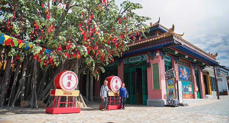 04 Get Inspired NP360 Aspects Of Your Lantau Cable Car Trip Spot7a 800X432