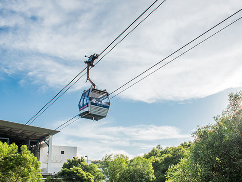 09 Tickets & Tours Cable Car All Year Around 800X432