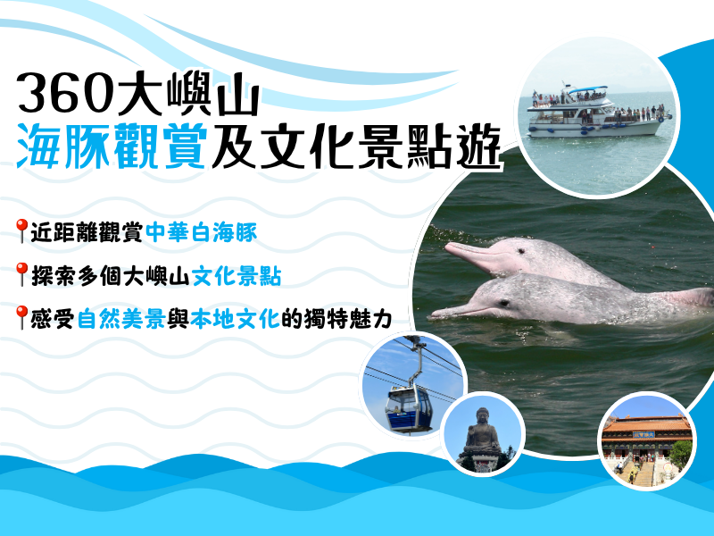 (TC) HK Dolphinwatch X 360 Lantau Tour 800 X 600