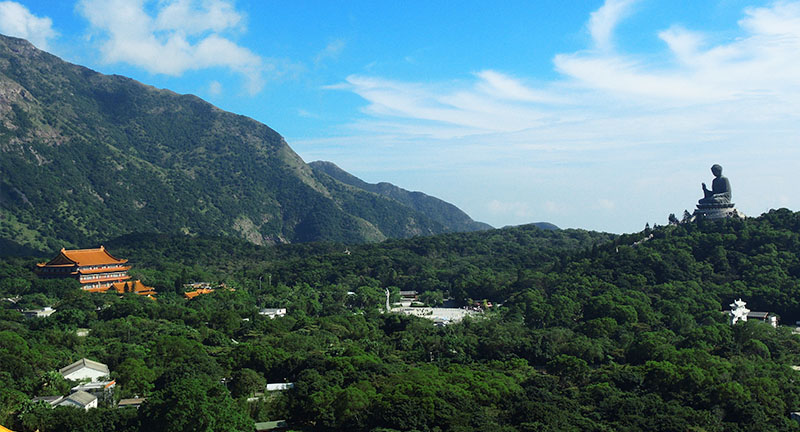 04 Get Inspired NP360 Aspects Of Your Lantau Cable Car Trip Spot5 800X432