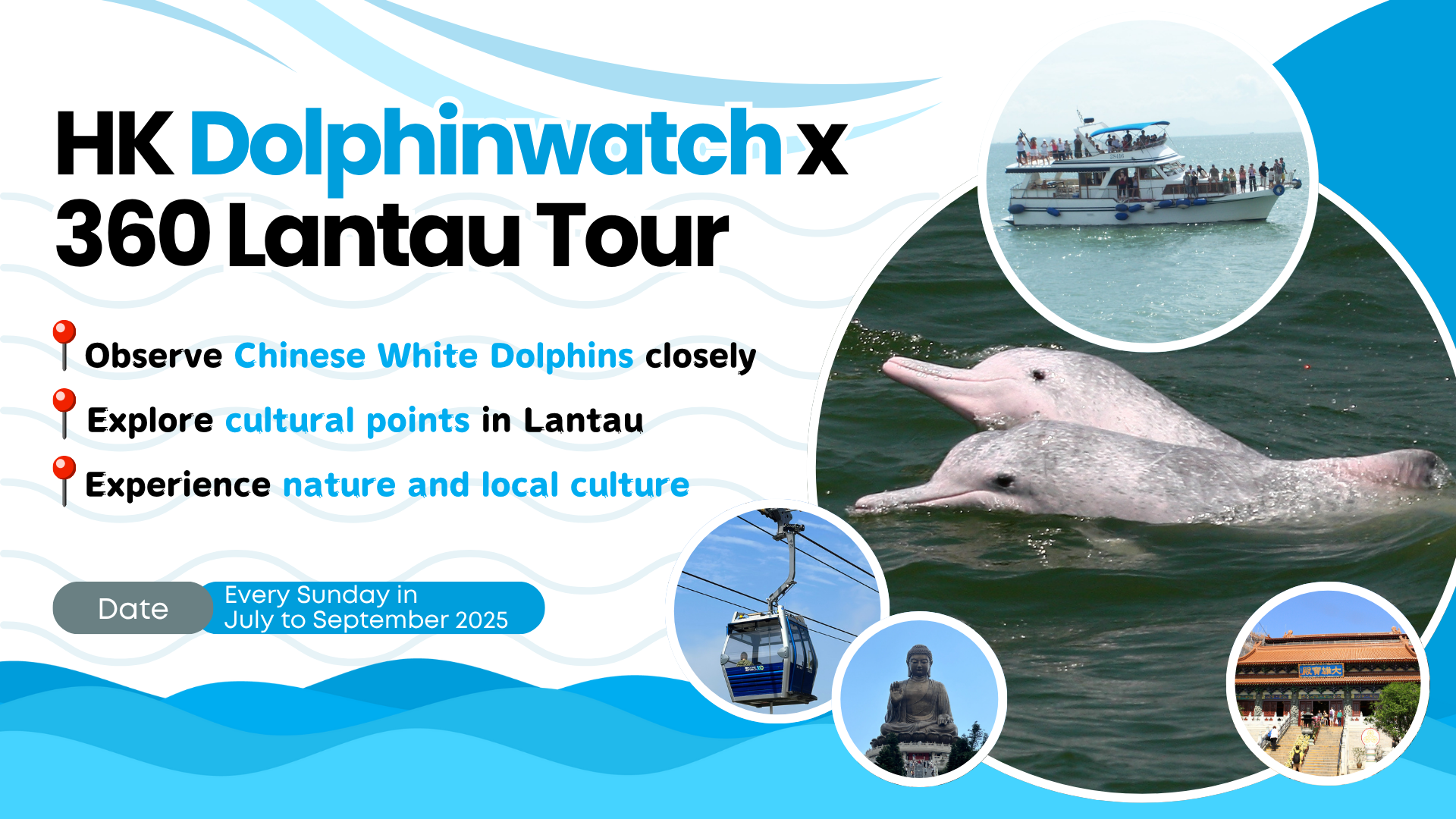 (EN) HK Dolphinwatch X 360 Lantau Tour 1920X1080