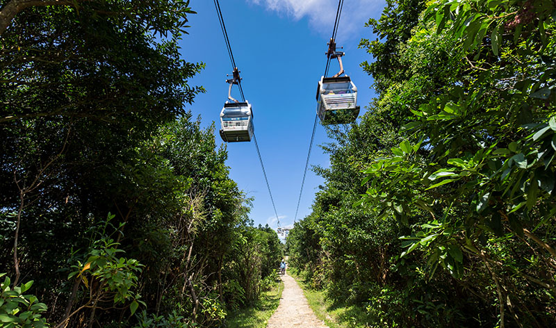 Nearby Attraction Ngong Ping Trail 2