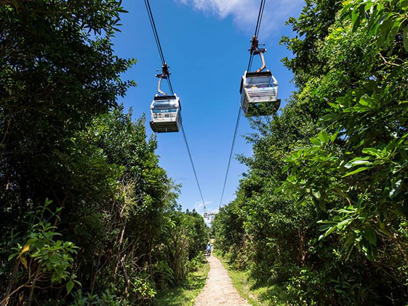 Nearby Attraction Ngong Ping Trail 2