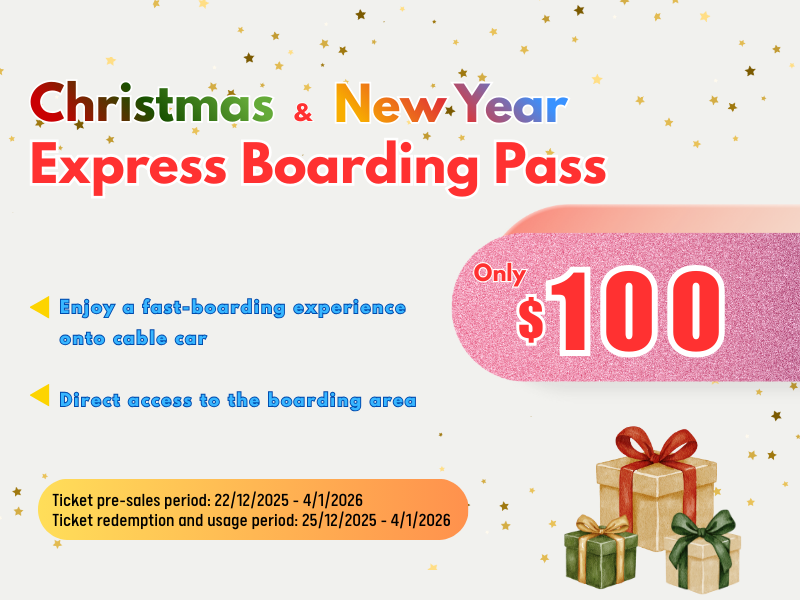 (EN) Xmas & New Year Fast Pass 800X600