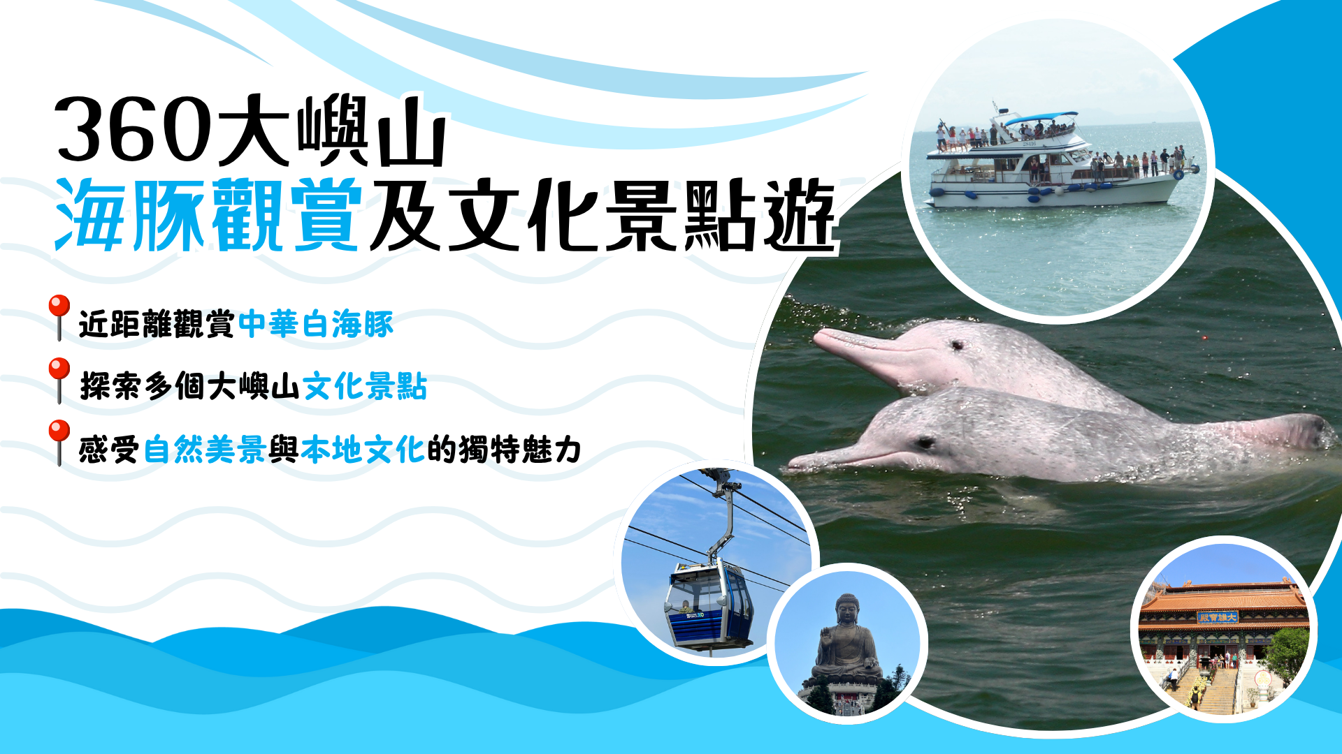 (TC) HK Dolphinwatch X 360 Lantau Tour 1920X1080