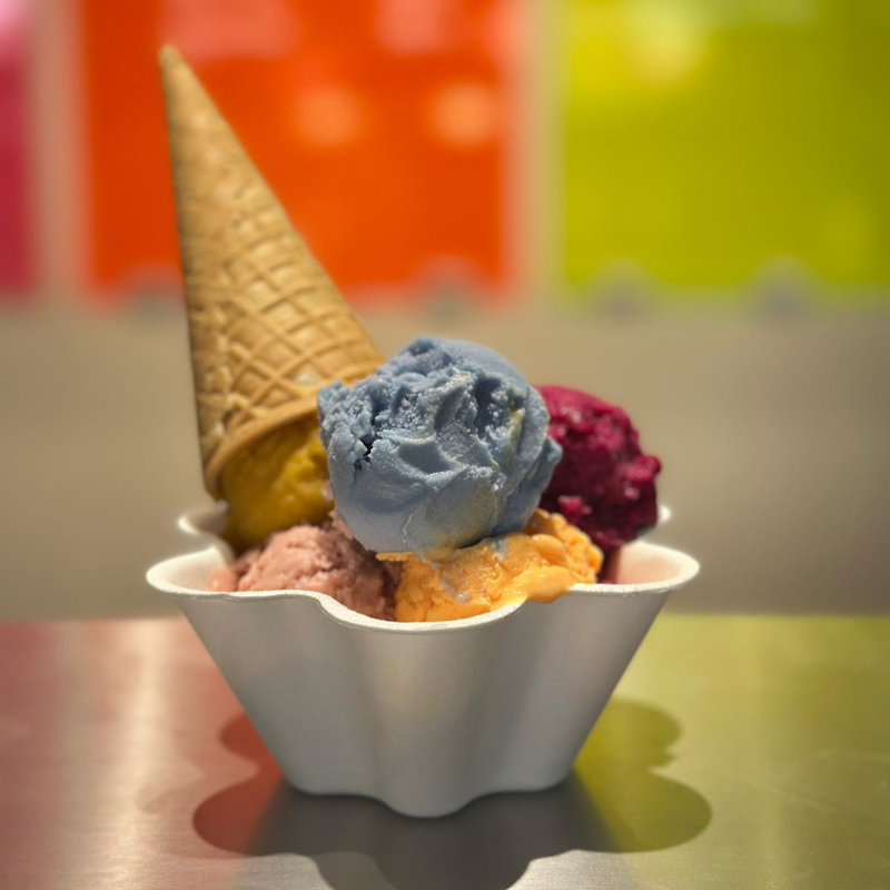 Dolce Wonderland Gelato