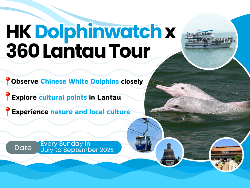 (EN) HK Dolphinwatch X 360 Lantau Tour 800 X 600