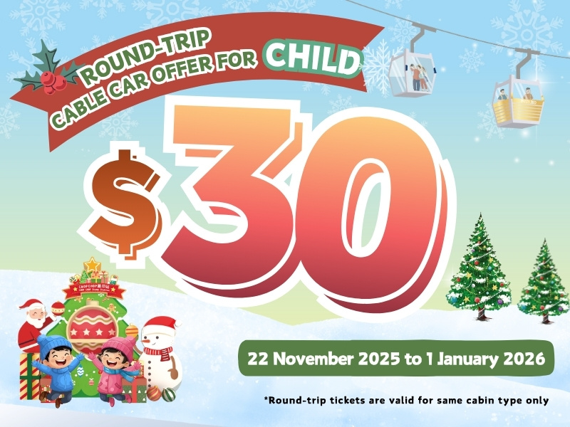 (EN) Xmas 2025 800X600